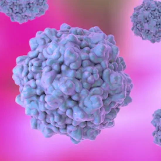 human bocavirus infection